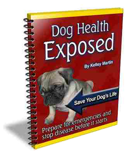 Dog Health Exposed, E-Book by Kelley Martin