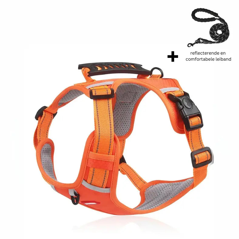 Reflective Comfort Dog Harness