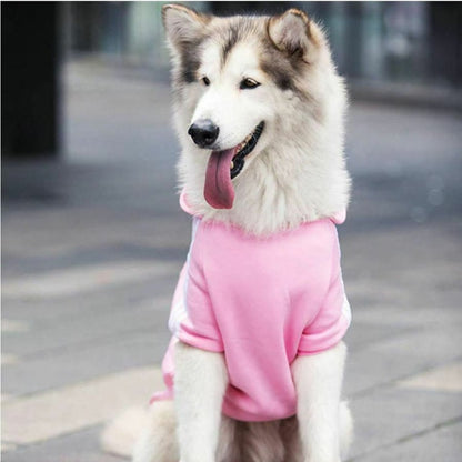 Dog Sport Hoodie