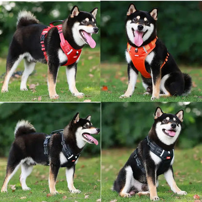 Reflective Comfort Dog Harness