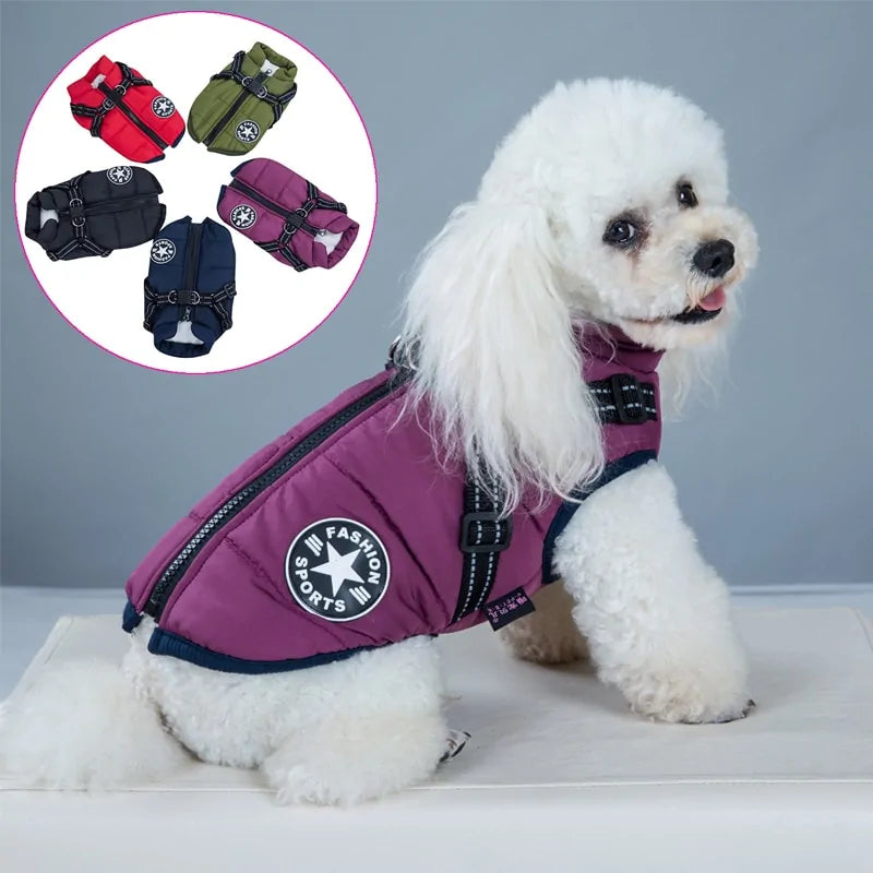 Comfort Pet Harness