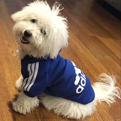 Dog Sport Hoodie