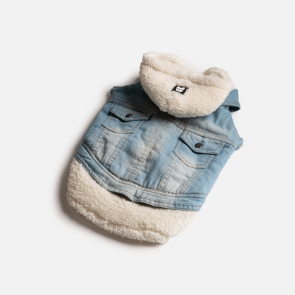 Distressed Denim Dog Jacket with Sherpa