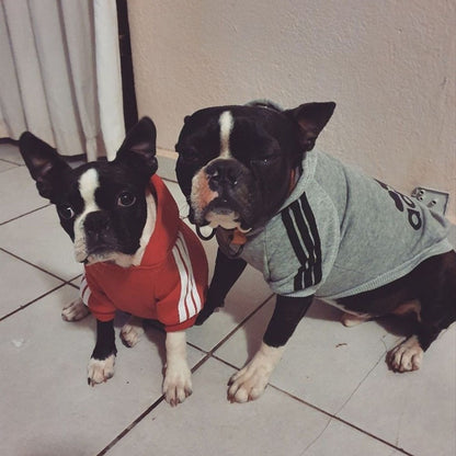 Dog Sport Hoodie