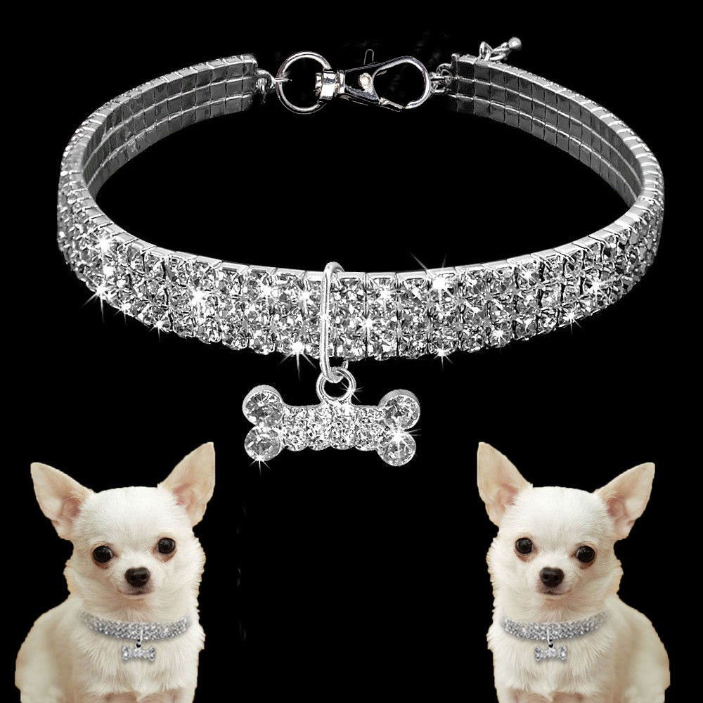 Glamorous Pet Collar