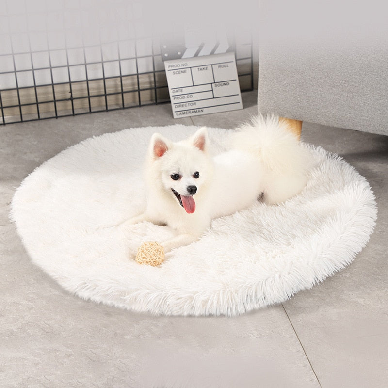 Round Plush Dog Bed